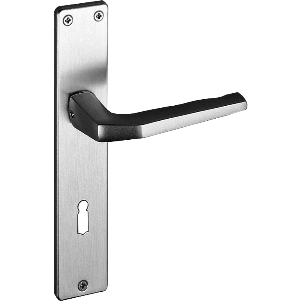 Alu-Drückergarnitur 125 mit Langschild