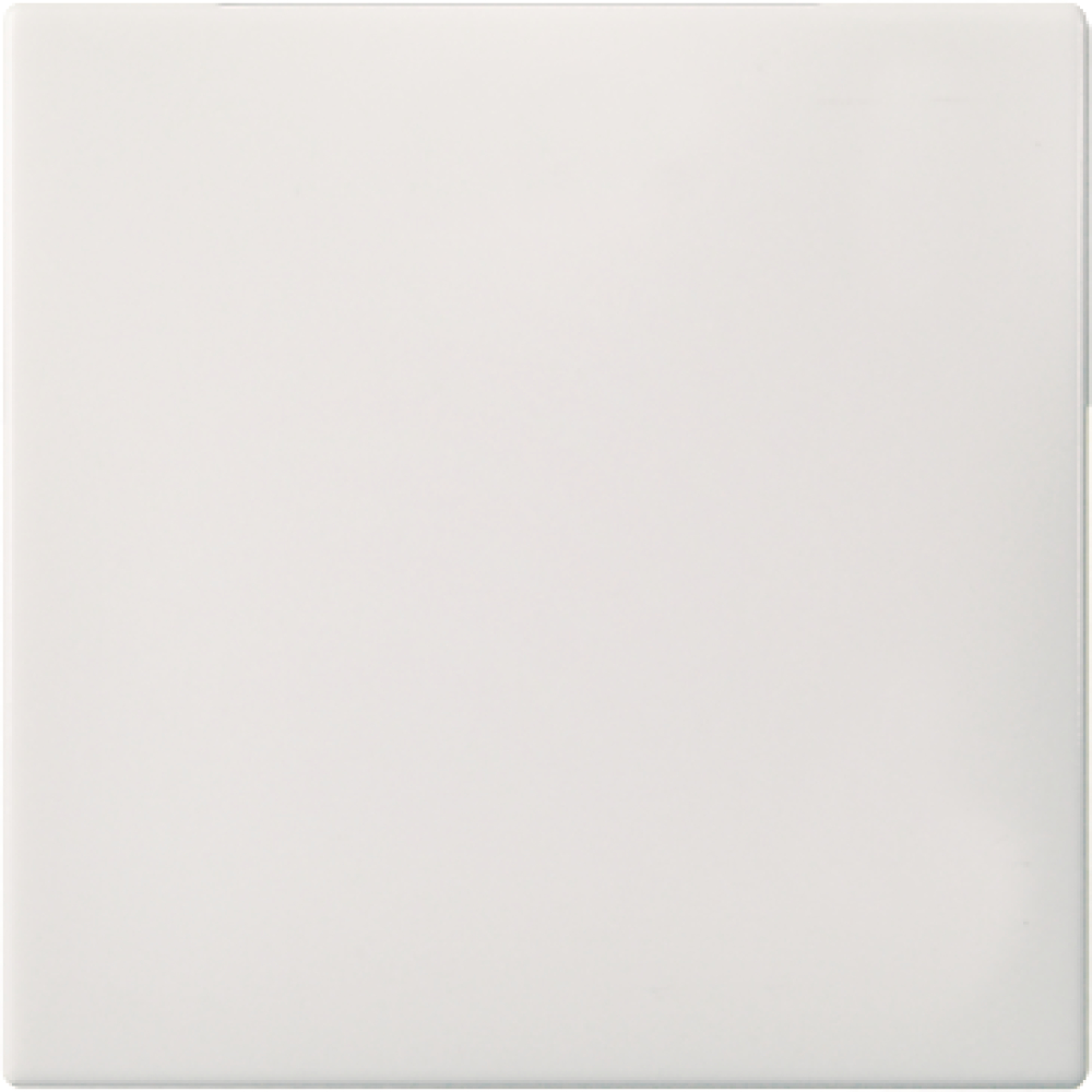 ELSO Wippe Schalter + Taster reinweiß 273604