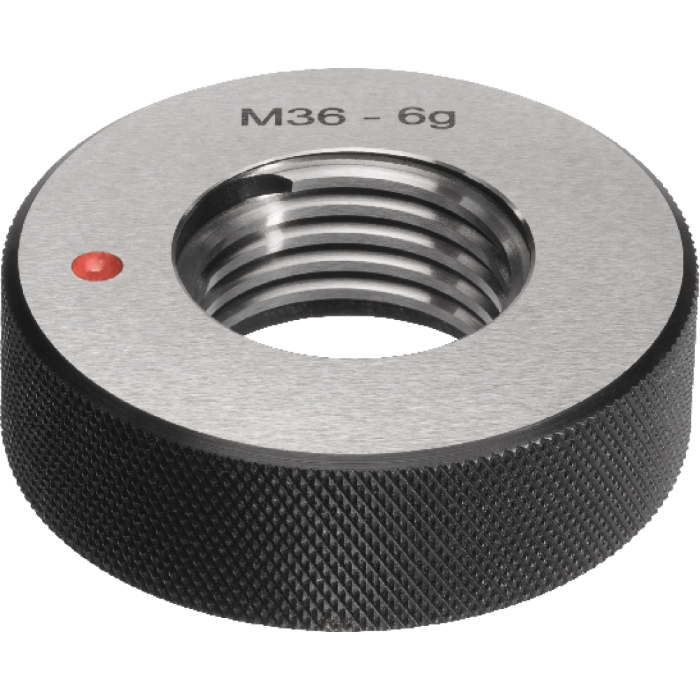 FORTIS Aussch.-Gew.-Lehrring M20 6g