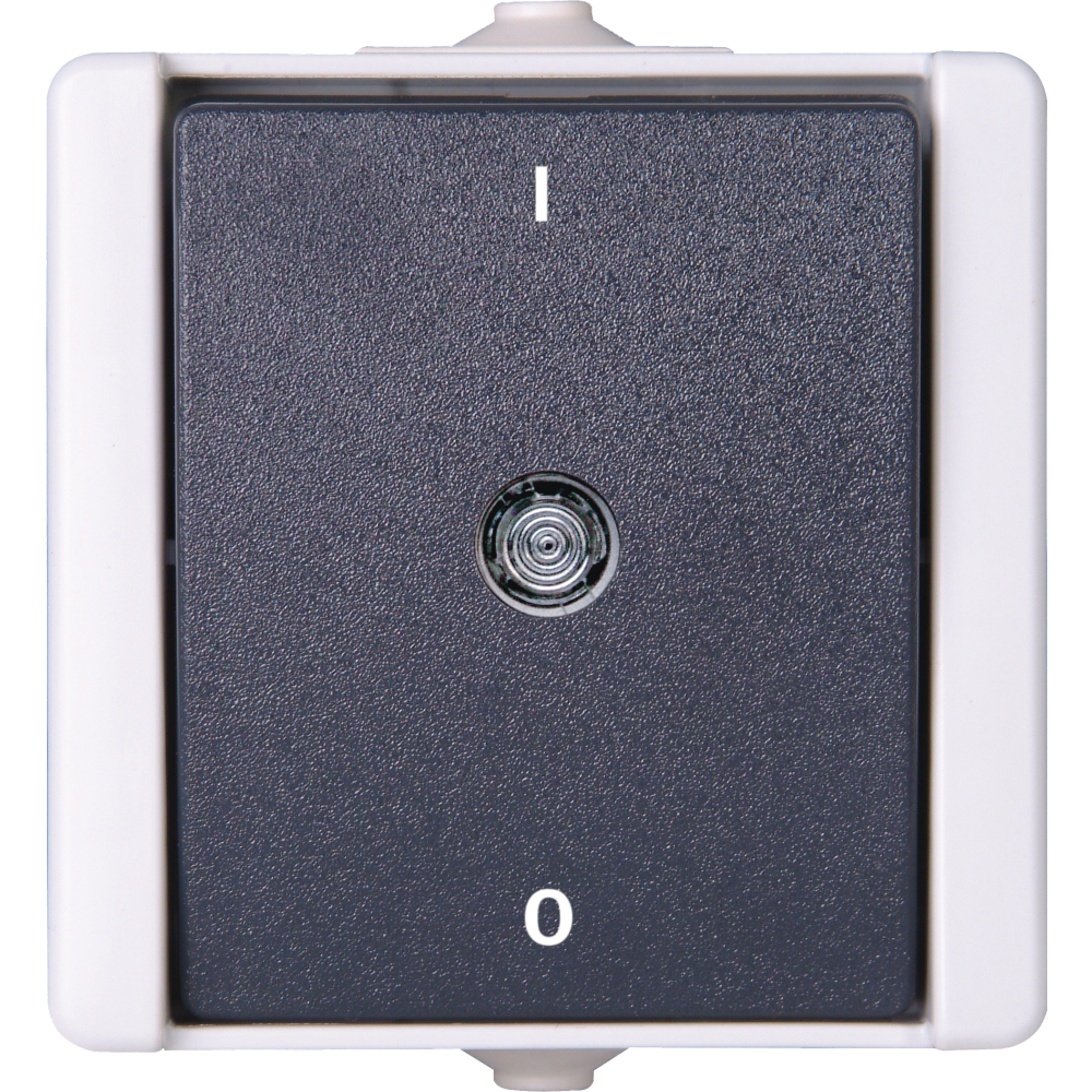 Ausschalter 2-polig AP IP44 proAQA 5402.5600.0