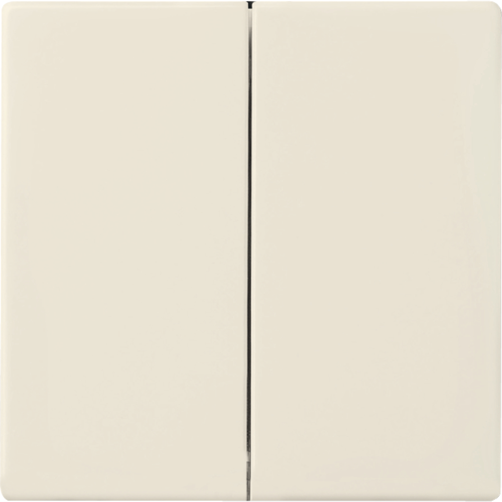 Wippe Doppeltaster/Serie 1785