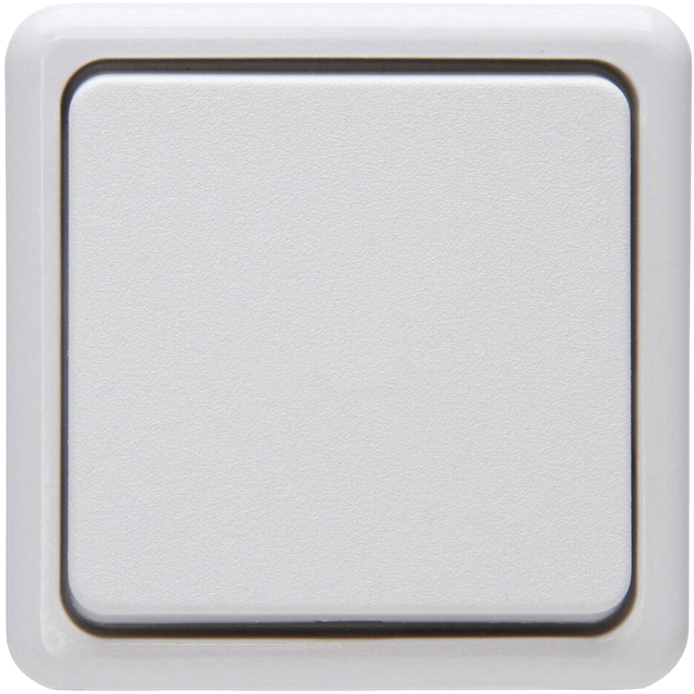 AP Taster 250V 10A , IP20, Farbe: arktisweiß