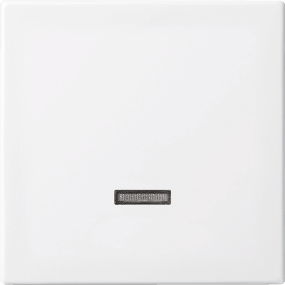 Bedienelement für Memory- Tastd.6543-914-102 alpinw