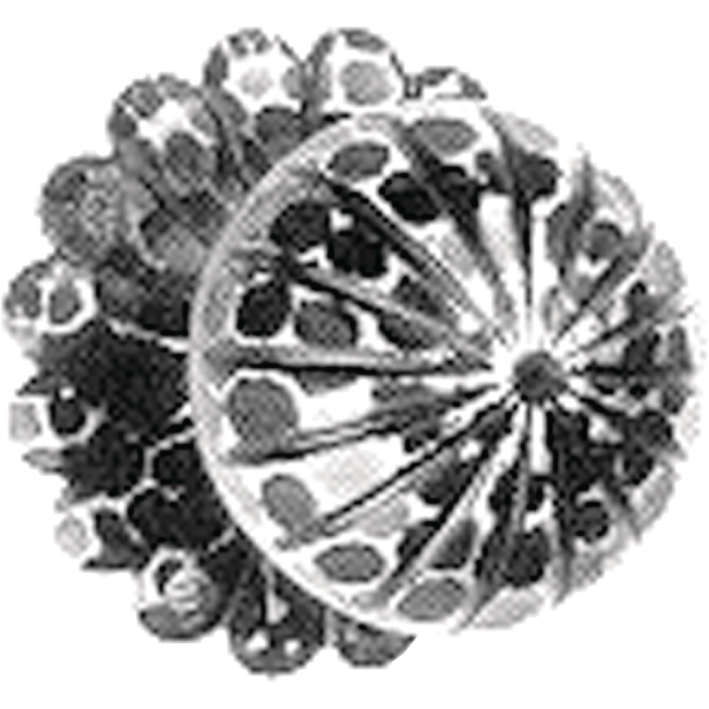 Türknopf auf Rosette 316 Schmiedeeisen 57/75mm