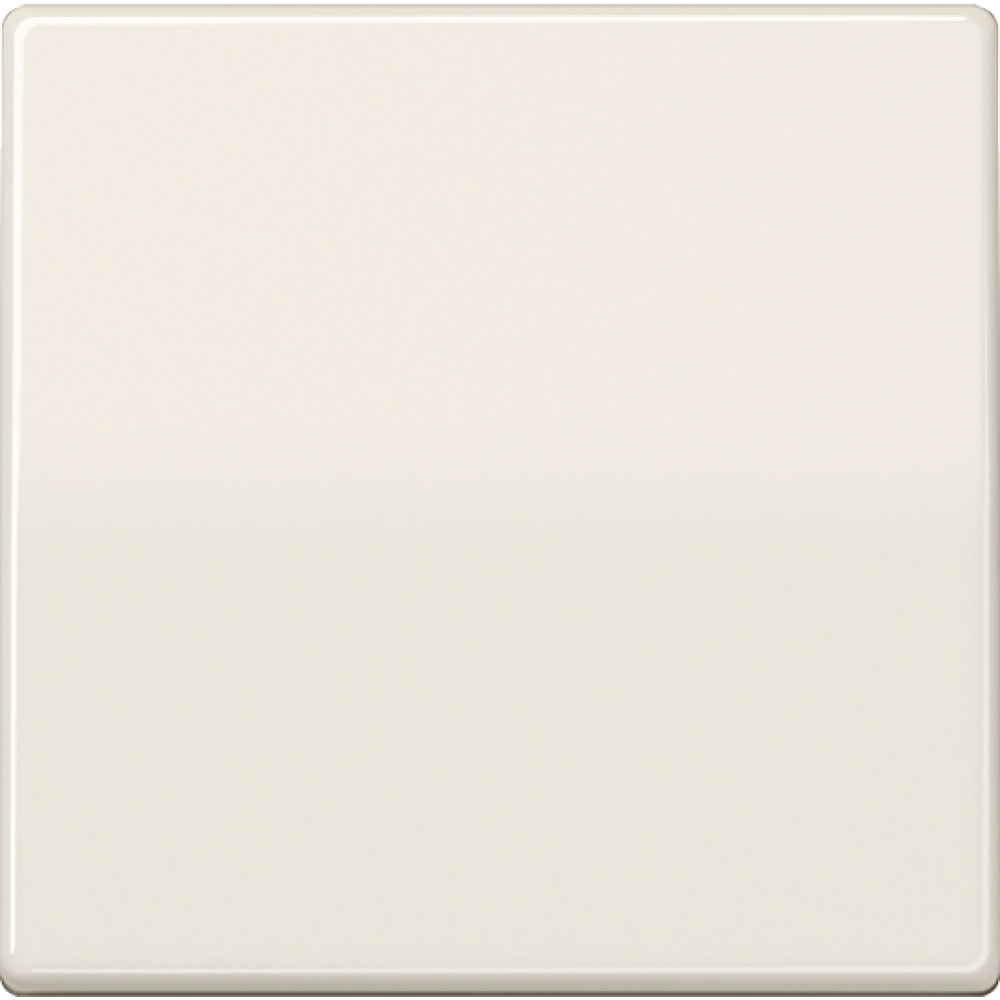 Steuertaste Standard AS 1700