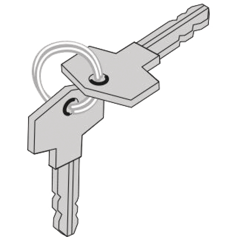 2x Schlüssel für Schloss twist 200 E/EL/350
