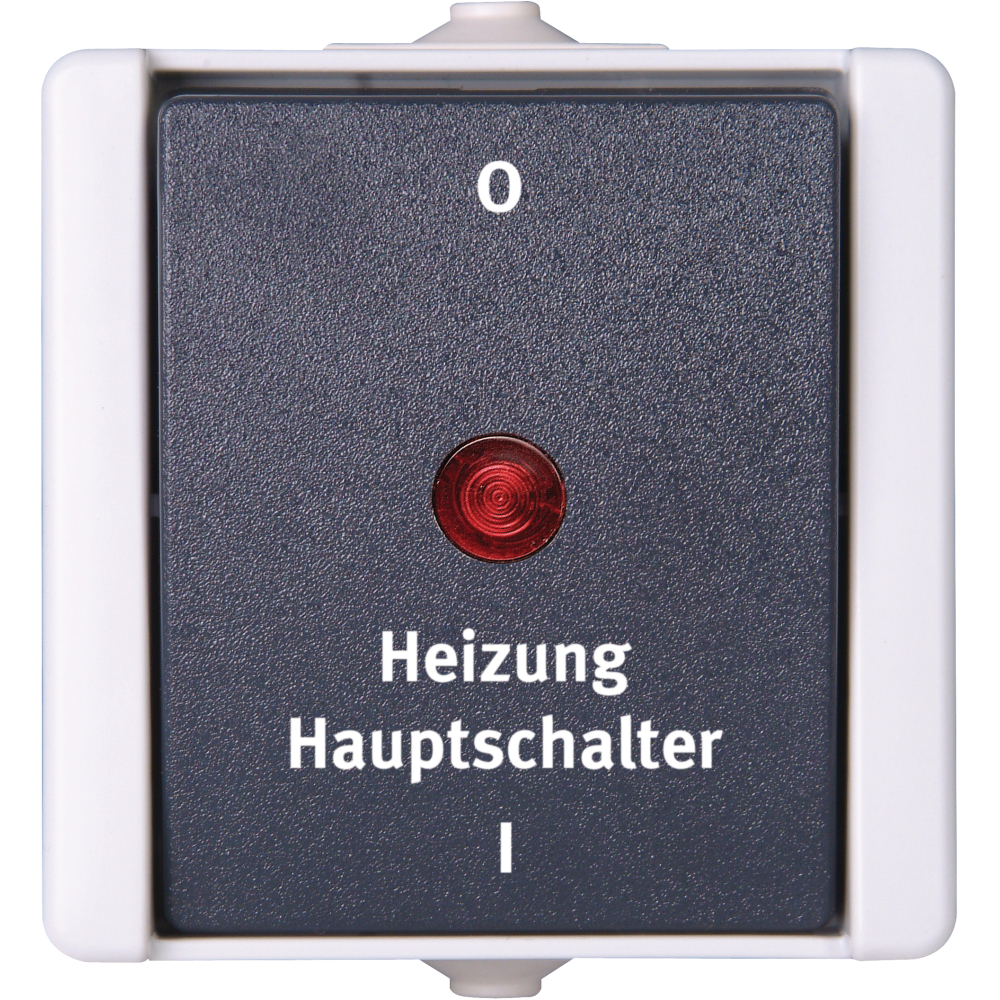 Heizung-Hauptschalter AP IP44 proAQA 5413.5600.4