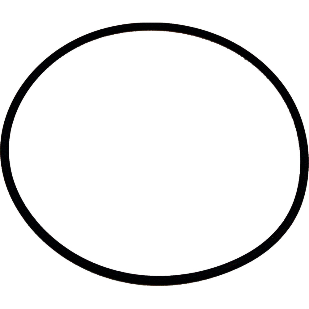 Wolf O-Ring 132 x 4 Viton für COB