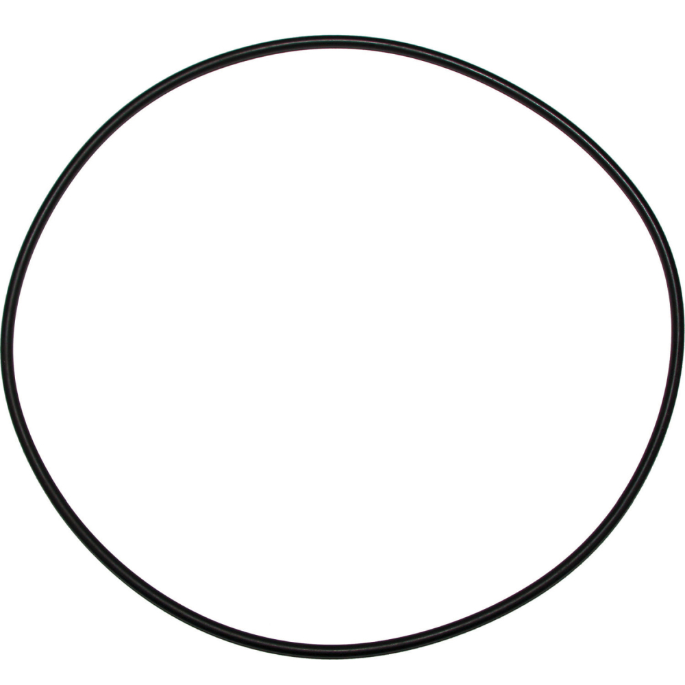 Wolf Dichtung O-Ring 200x4 für MGK-2