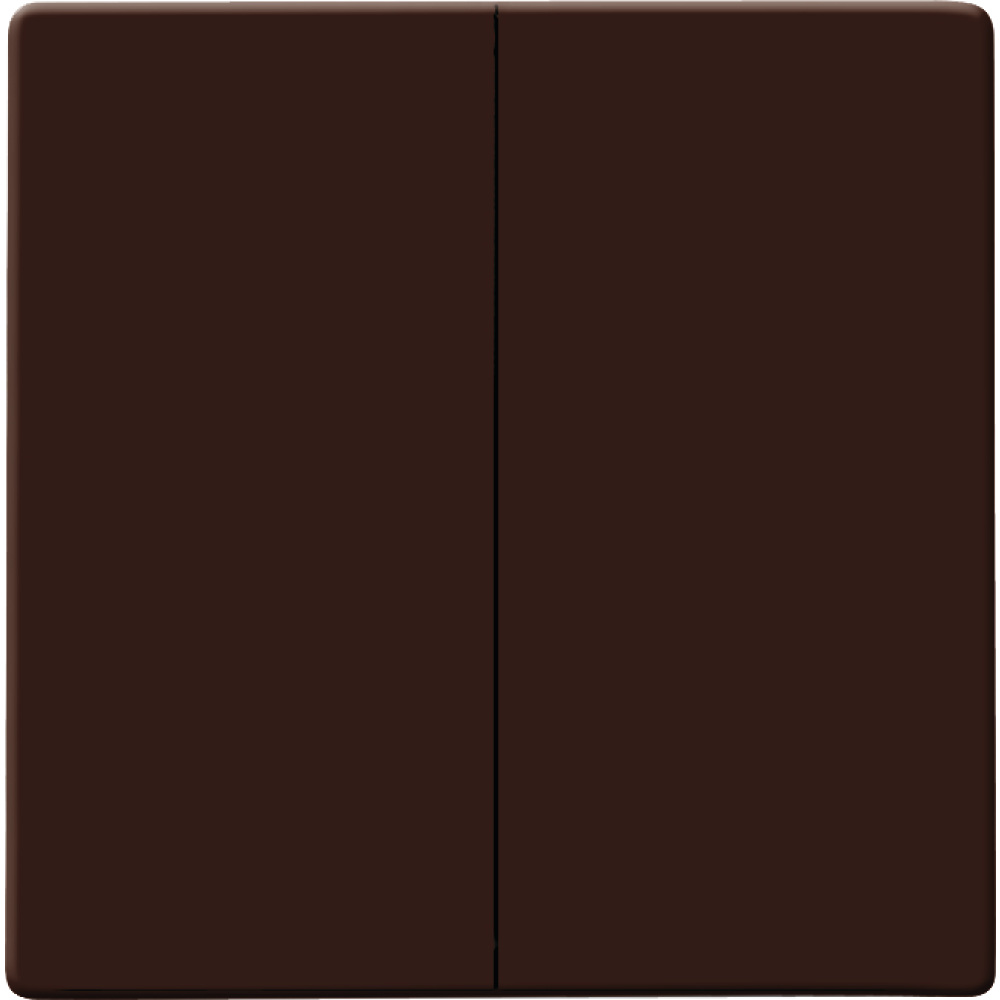 Wippe Serien/Doppeltaster 2105