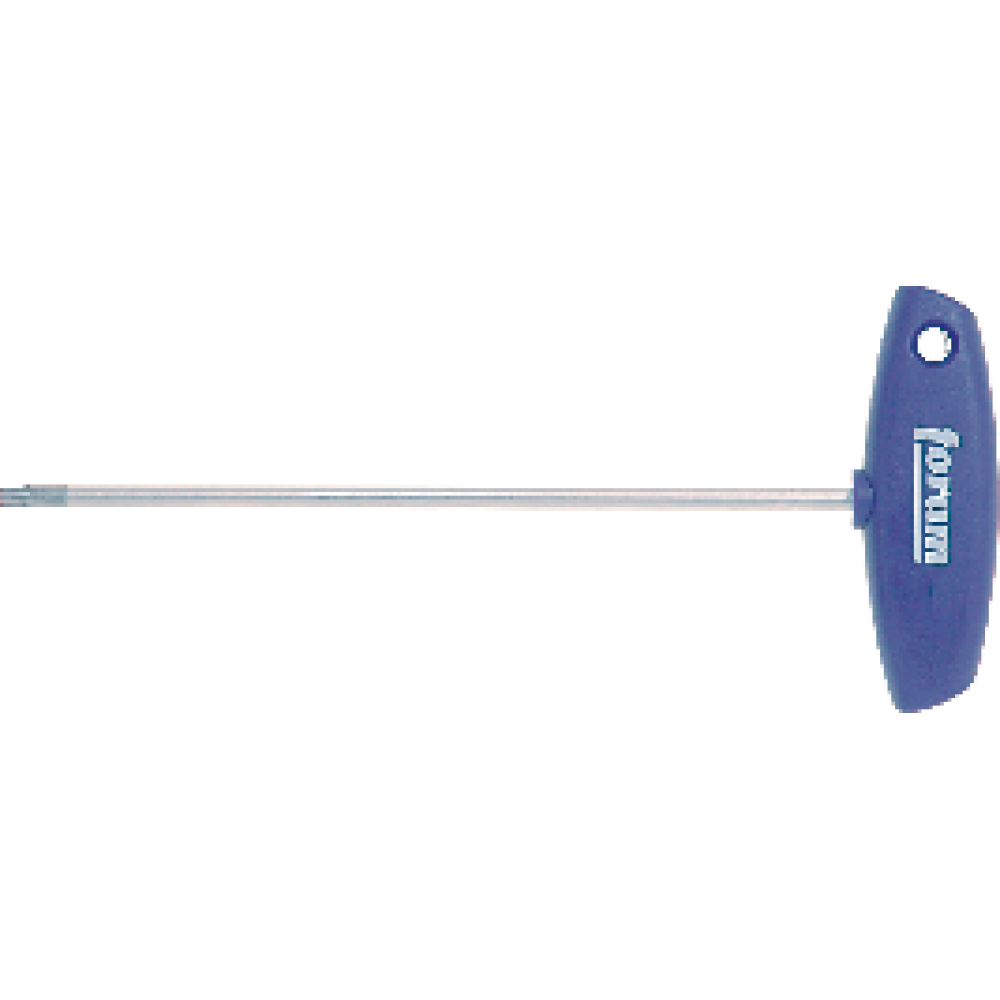 FORUM Schraubendreher mit Quergriff TORX® T 30x100mm