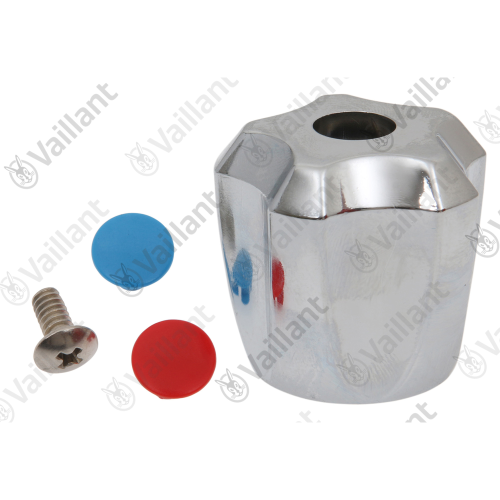 Vaillant Knopf Vaillant-Nr. 0020051304