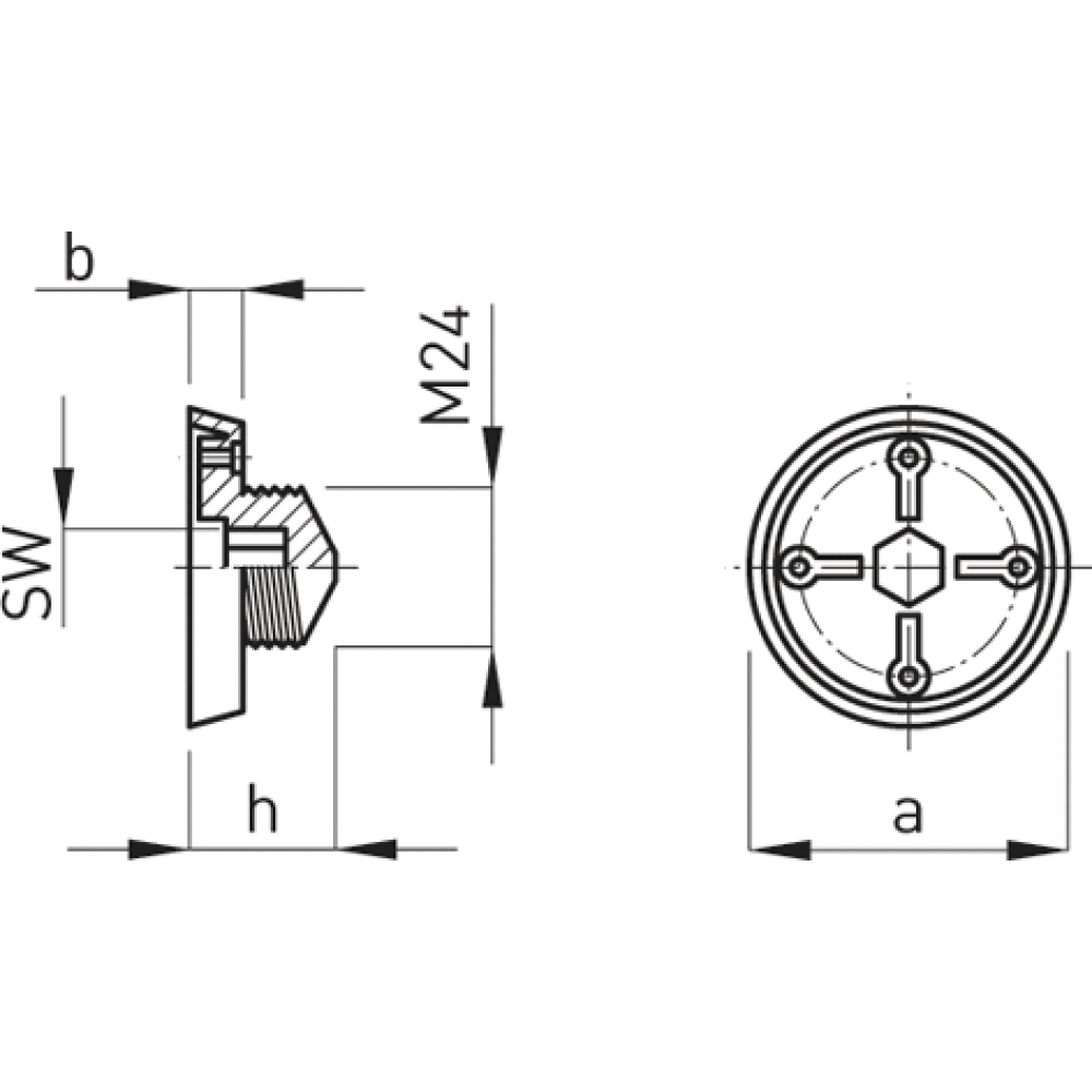 Nagelplatte D15,0 PE f. Vorlaufkonus Typ 30 M24