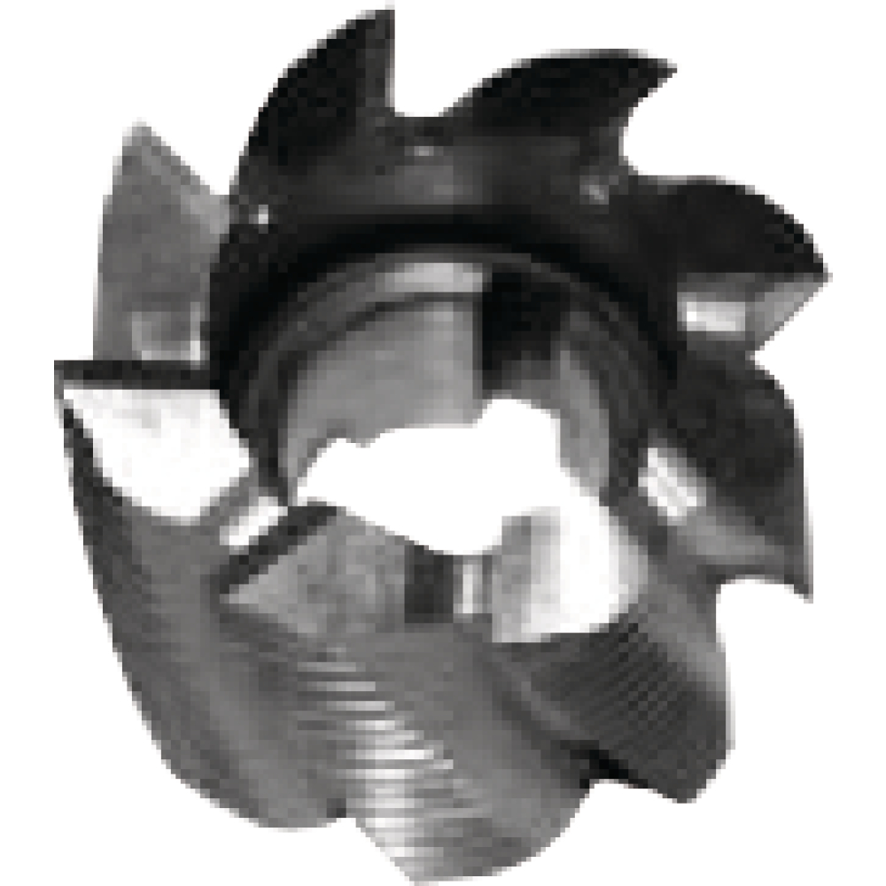 Walzenstirnfr. 100x50mm HSS-Co5 #AX819