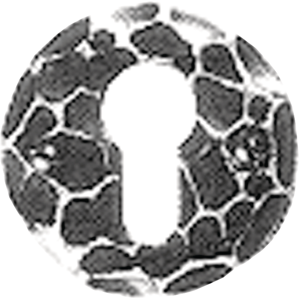 Schlüsselrosette 247 Schmiedeeisen 55mm BB