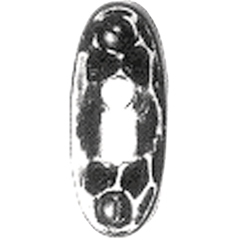 Schlüsselrosette 281 oval Schmiedeeisen 27/67mm BB