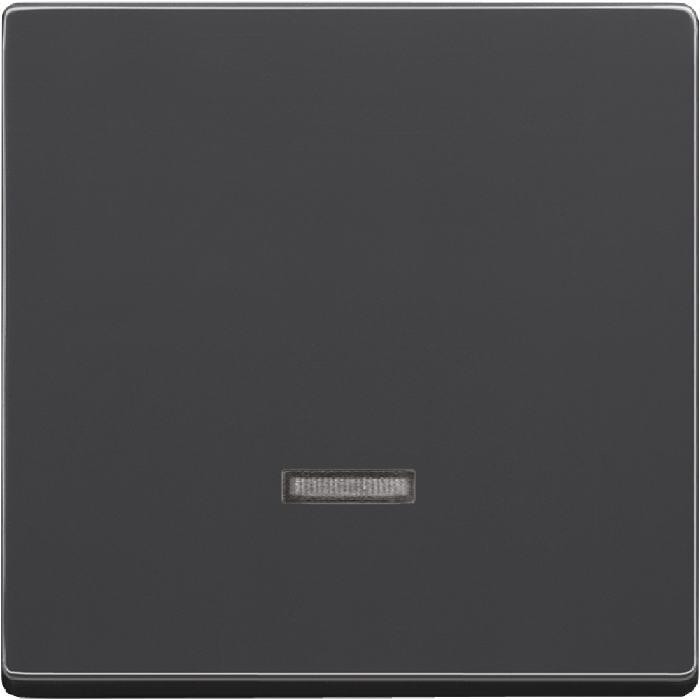 Bedienelement für UP-Dimmer
