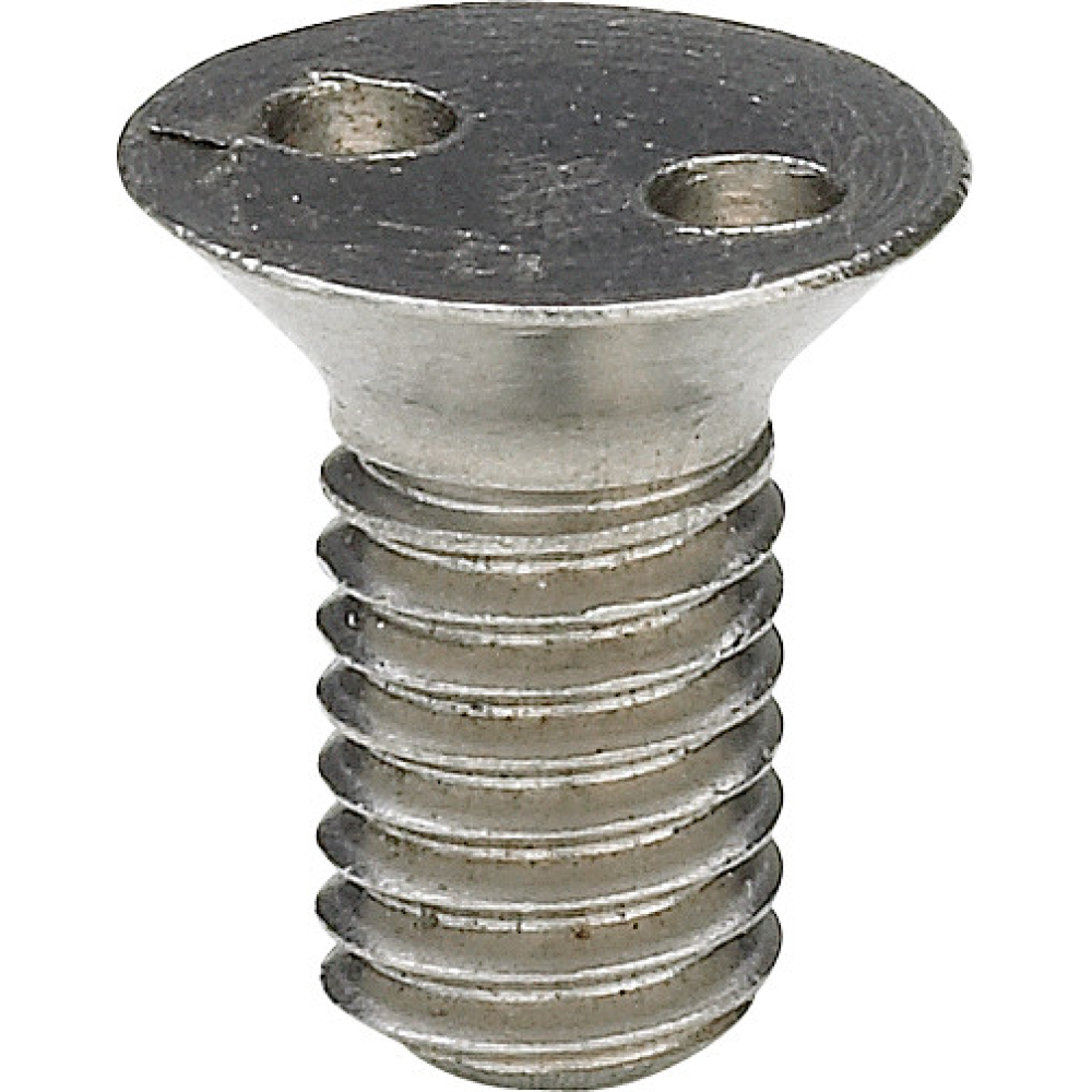 Viega Senkschraube 4933.8 in M5 x 10mm Chromnickelstahl