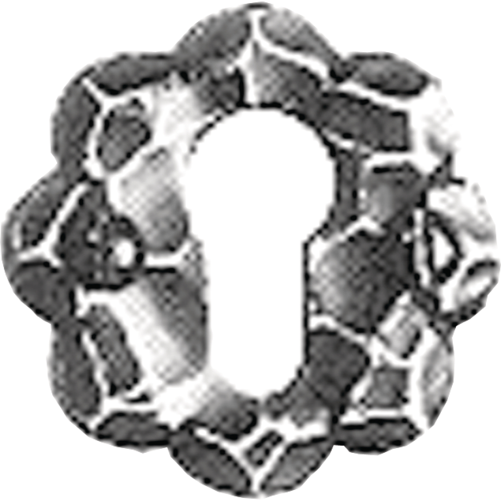 Schlüssel-Rosette 261