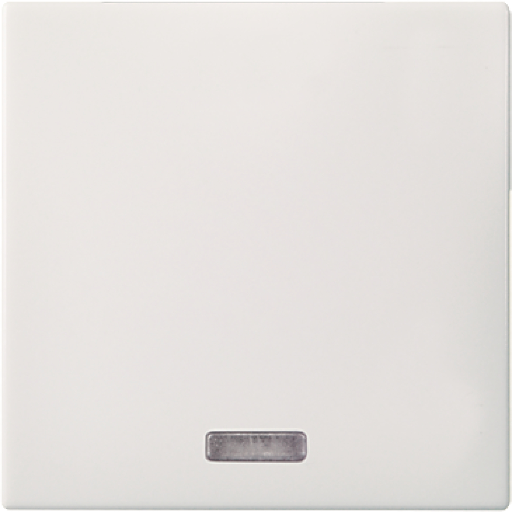 ELSO Wippe Kontroll- schalter reinweiß 273614