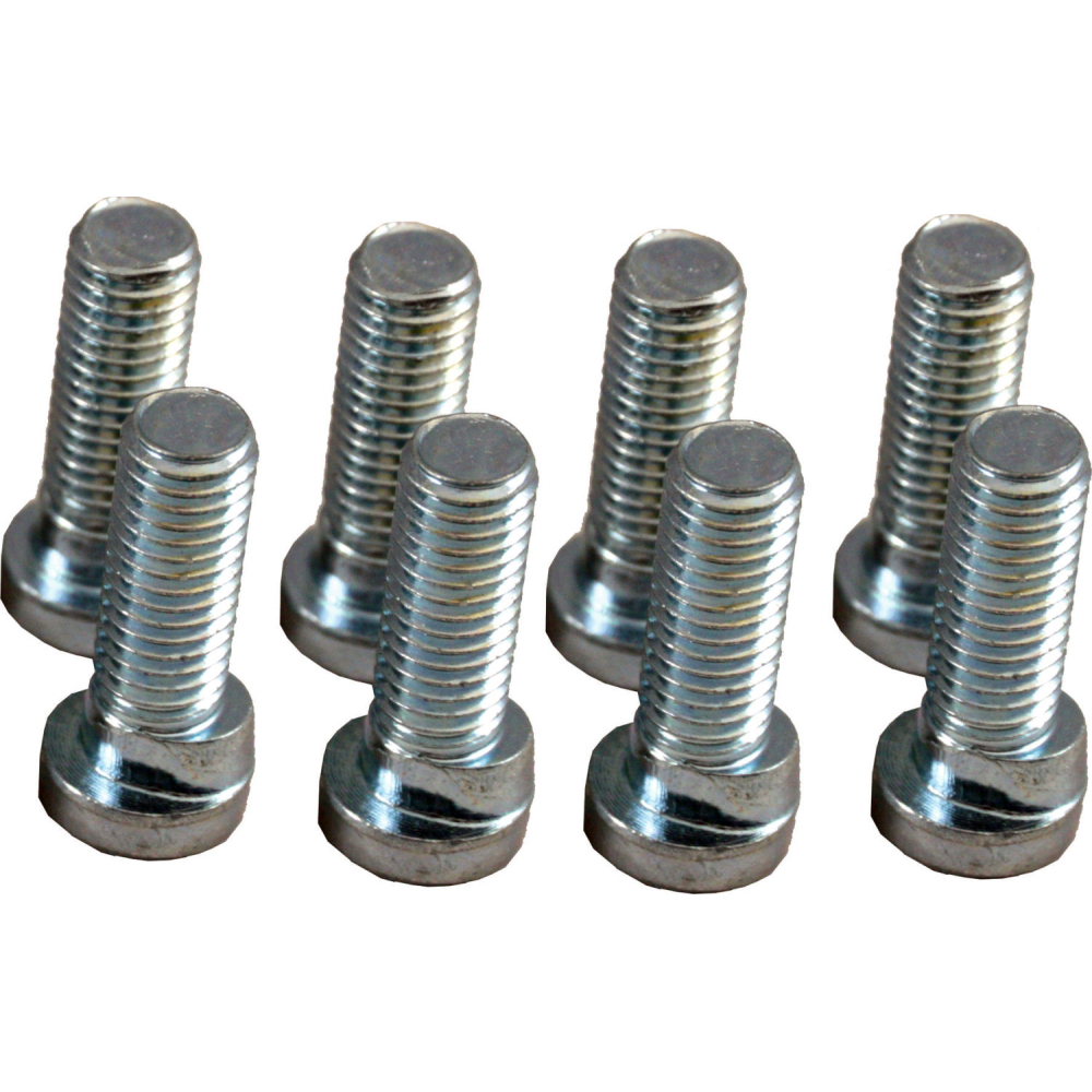Wolf Schraube verdrehsicher M10x30 für SE