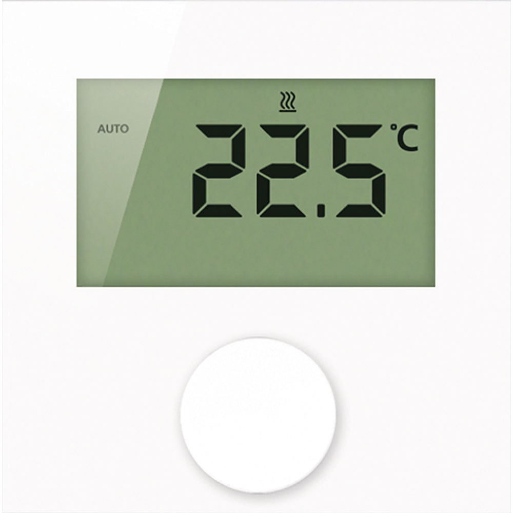 Raumthermostat 24V Display