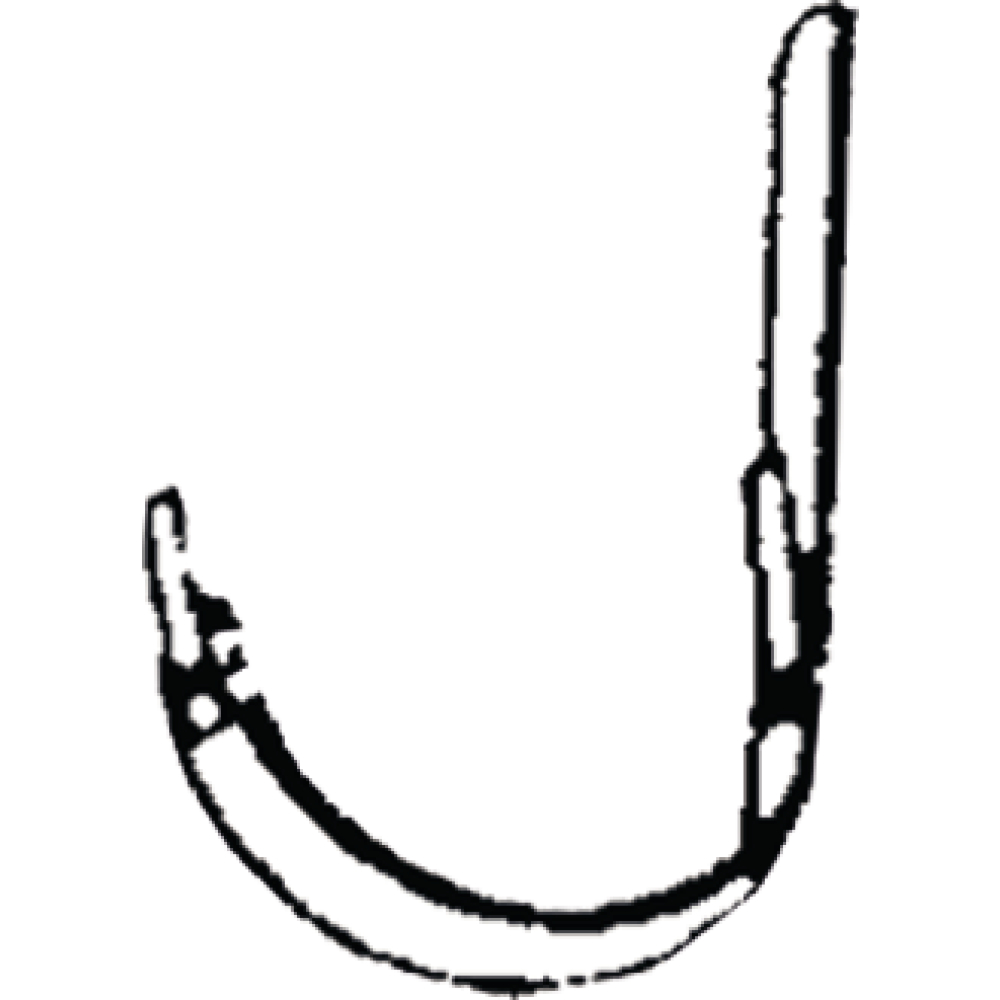 Rinneneisen