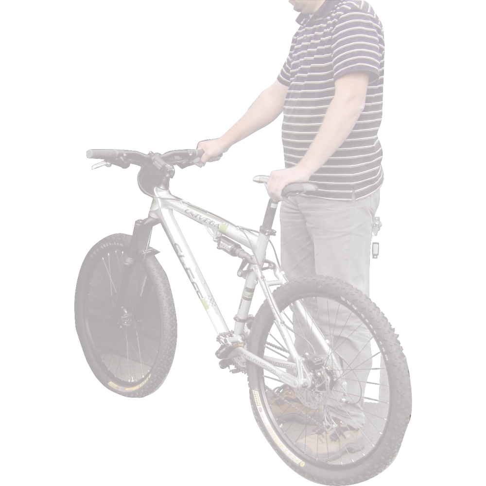 Fahrradgarage Bike Box 1G850x2050x1250mm, RAL7016