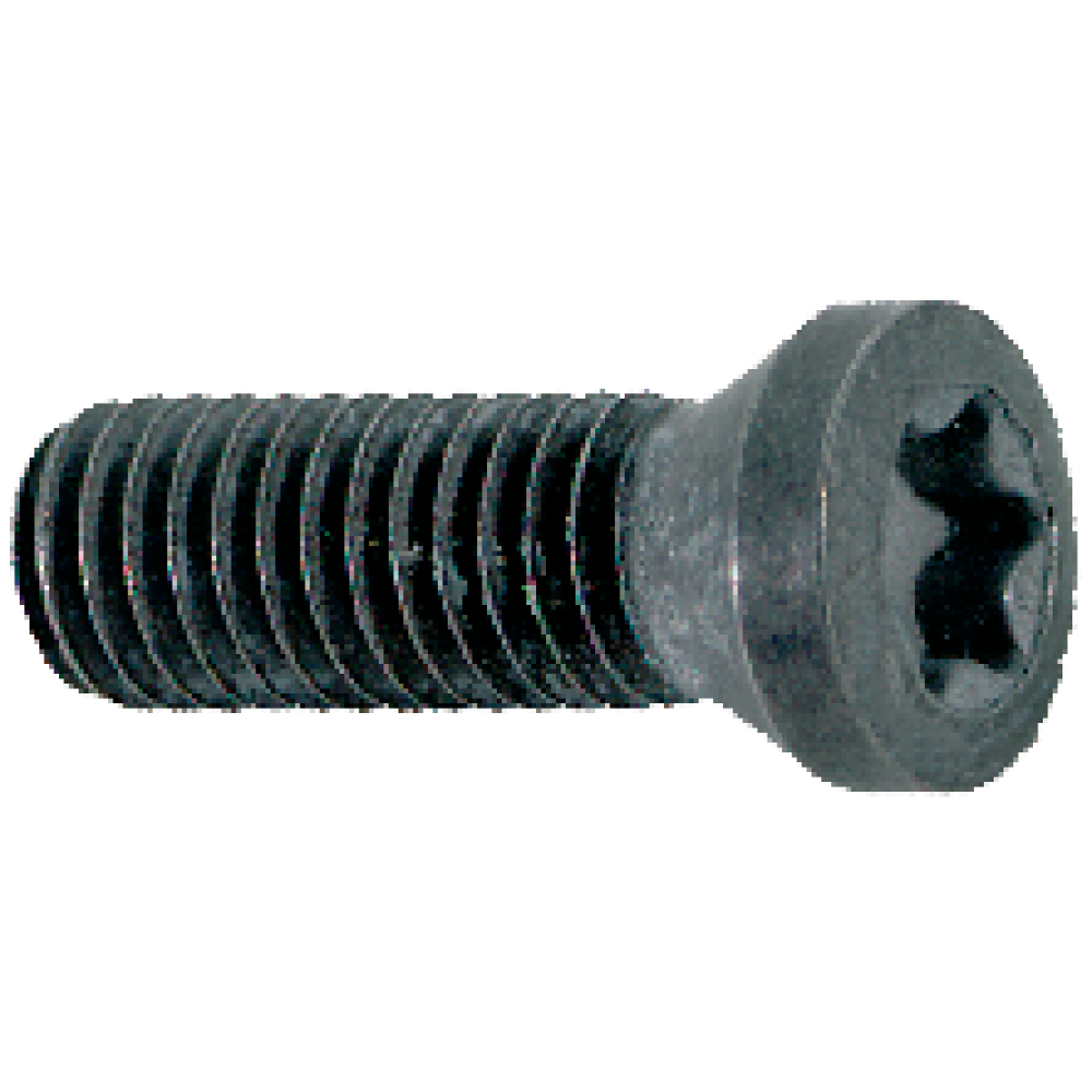 Spannschraube für Wendeschneidplatte M2,5x5,5 T08