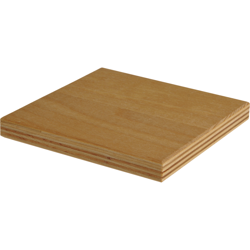 Arbeitsplatte Buche 1000x750x25