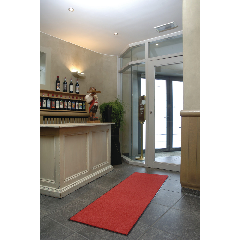 Schmutzfangmatte Eazycare 40x60cm weinrot