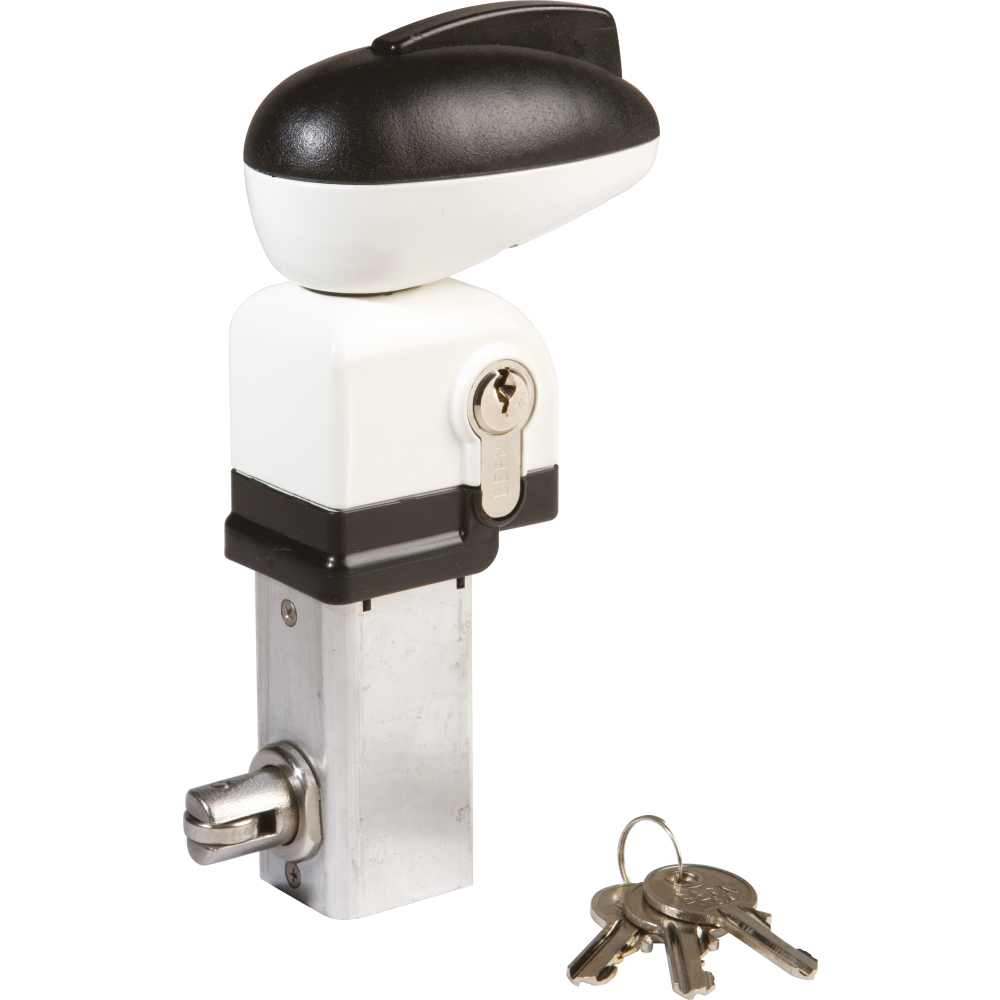 Schwimmbadtorschloss TWIST 40