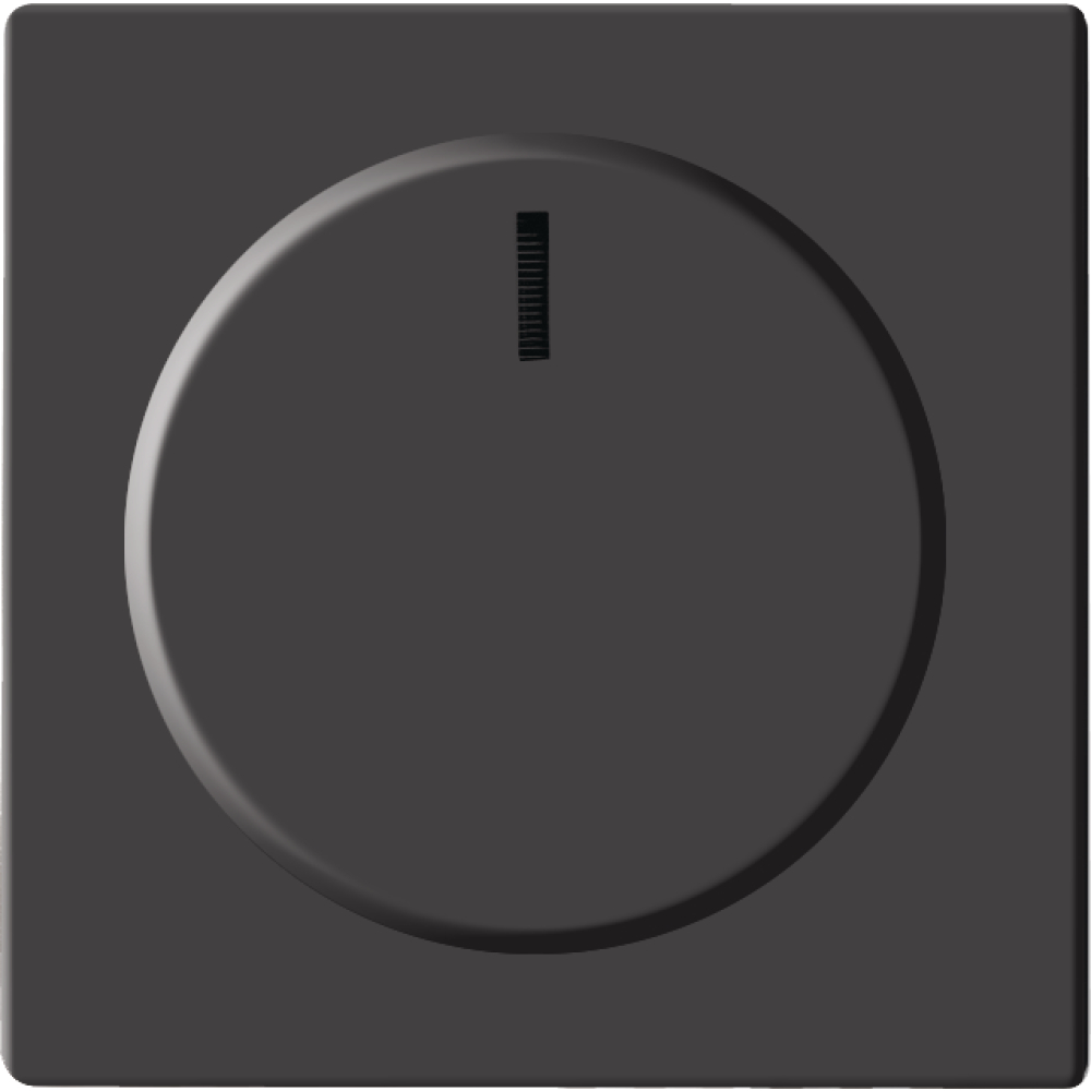 Zentralscheibe für Dimmer 6540