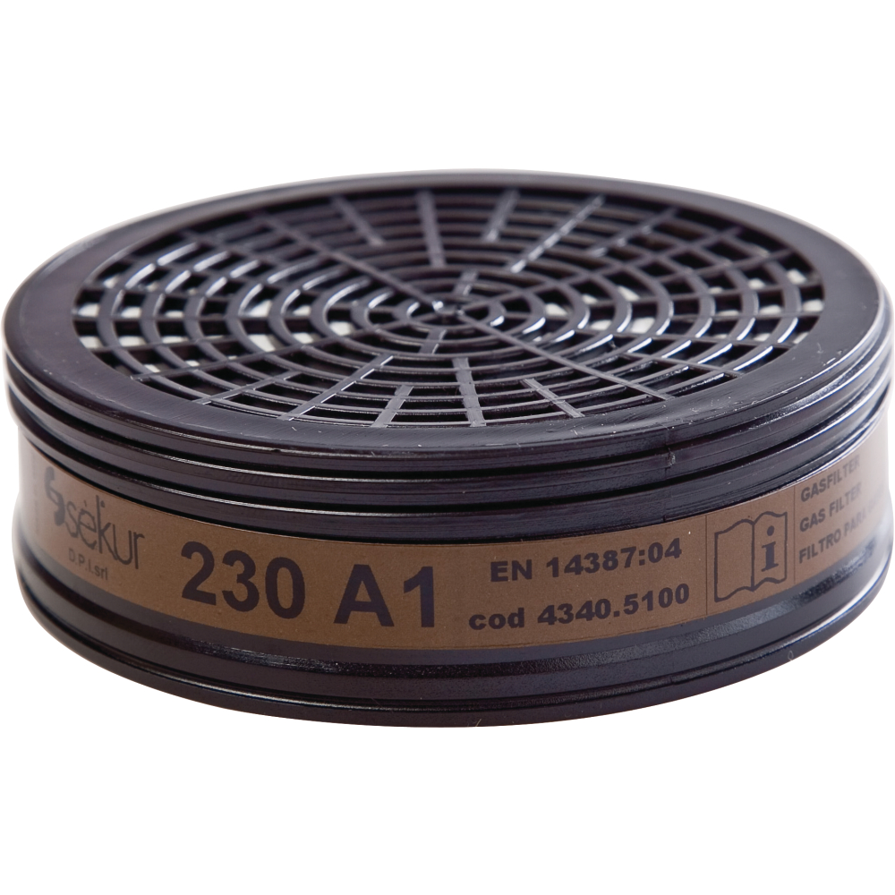 Ekastu Safety Gasfilter 230 A1 Btl. 2 Stück für Polimask