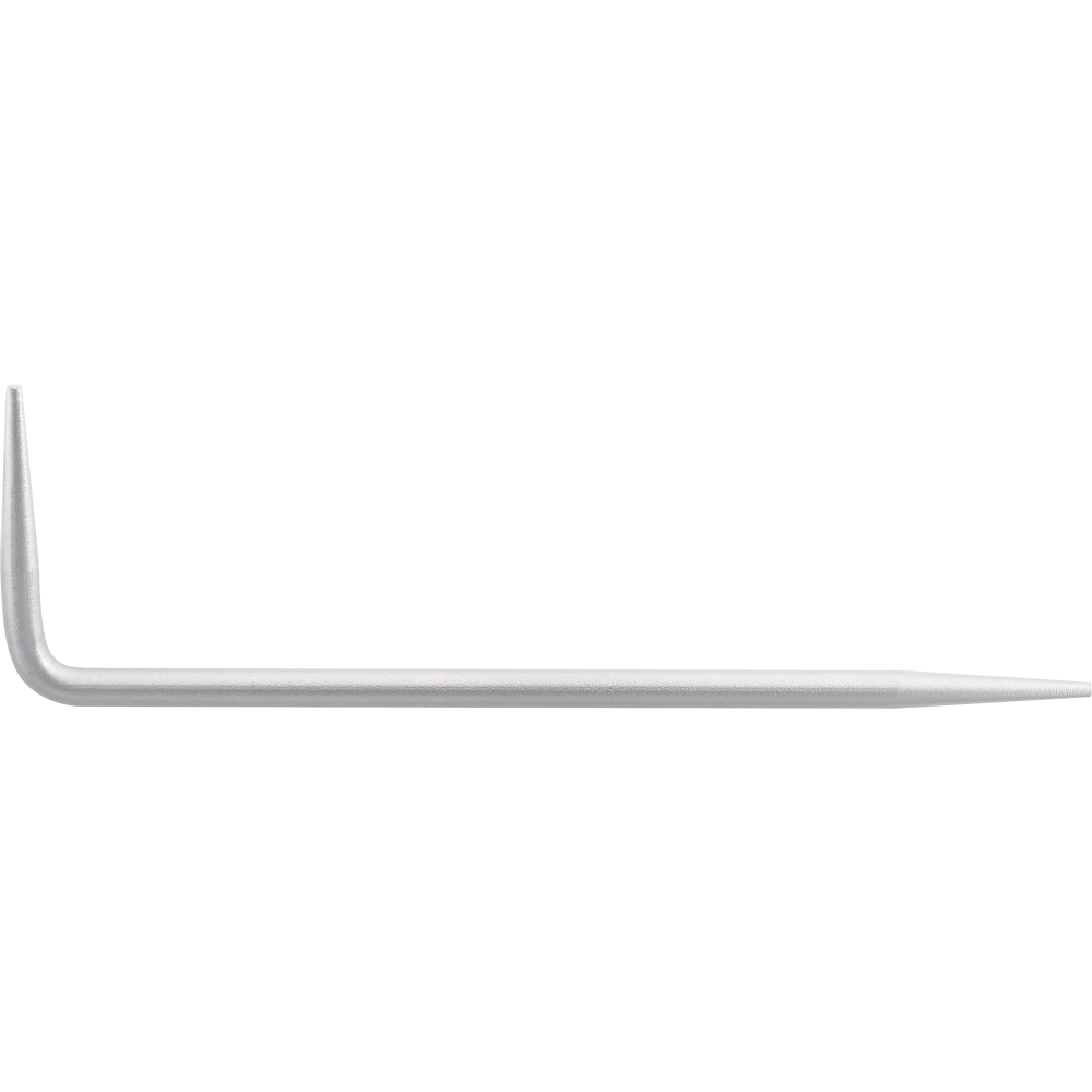 FORTIS Winkeldorn 300x100x10mm